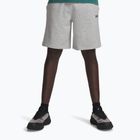 Férfi edzőshort Under Armour Rival LW mod gray light heather/black