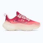 Női edzőcipők Under Armour Pulse claret/posh pink/posh pink