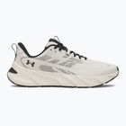 Férfi edzőcipők Under Armour FLX TR summit white/black/black