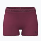 Női edző rövidnadrág Under Armour HeatGear Shorty claret/ox blood