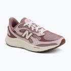 Női futócipő New Balance Fresh Foam Arishi V4 pink salt/rosewood/sea salt