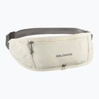 Salomon Pulse Sling jégcsap / castlerock futóöv