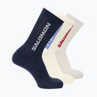 Zokni Salomon Everyday Crew 3 pairs spellbound/vanilla ice/lunar rock