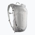 Túrahátizsák Salomon Trailblazer 10 l cloudburst/paloma/silver