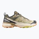 Férfi túracipő Salomon X Ultra 360 Edge aloe/slate green