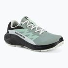 Női futócipők Salomon Alphaglide GTX green milieu/asphalt