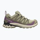 Női futócipők Salomon XA Pro 3D V9 GTX bog/aloe