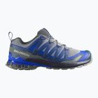 Férfi futócipők Salomon XA Pro 3D V9 wrought iron/spellbound