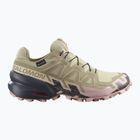 Női futócipők Salomon Speedcross 6 GTX eucalyptus/slate green