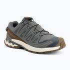Férfi futócipők Salomon XA Pro 3D V9 GTX Lifelong sedona sage/coyote brown