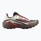 Férfi futócipők Salomon Genesis 2 vanilla ice/iron