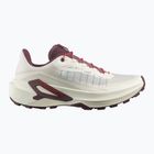 Női futócipők Salomon Genesis 2 vanilla ice/huckleberry