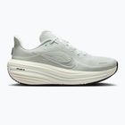 Női futócipő Nike Winflo 12 off white/barely green/metallic silver