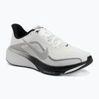 Férfi futócipők Nike Pegasus 42 summit white/metallic silver-photon dust