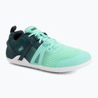 Női barefoot cipők Xero Shoes Prio Neo sea moss