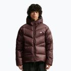 Férfi pehelykabát Nike Windrunner light chocolate/light chocolate/white