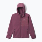 Gyerek softshell dzseki Columbia Ascender Hooded Softshell antique mauve