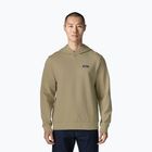 Férfi pulóver Patagonia Daily Hoody weathered stone
