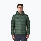 Férfi pehelykabát Patagonia Down Sweater Hoody treeline green