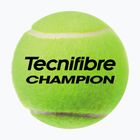 Tecnifibre Champion One teniszlabdák 4 db.