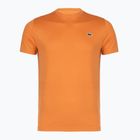 Férfi teniszpóló Lacoste TH0004 blossom