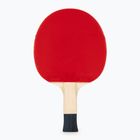 Asztalitenisz ütő Butterfly Timo Boll SG11