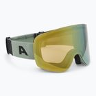 Síszemüveg Alpina Penken Q-Lite willow/ green matt/ gold