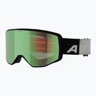 Síszemüveg Alpina Venet Q-Lite black/green matt