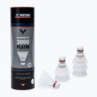 VICTOR Nylon Shuttle 3000 6 db fehér 101519
