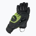 Férfi síkesztyű LEKI WCR Coach 3D black/ ice lemon