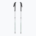 Trekkingbotok LEKI Makalu FX TA silver/greygreen/white