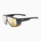 Napszemüveg UVEX Mtn Style CV havanna matt fade/mirror champagne