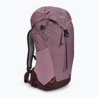 Női hátizsák Deuter AC Lite 14 SL rózsaszín 342052155680