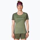 Női DYNAFIT Alpine 2 Tee sage futópóló sage futópóló