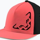 DYNAFIT Tech Trucker cabana baseball sapka