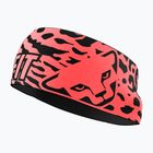 Fejpánt DYNAFIT Graphic Performance ultra coral/0910 leopard