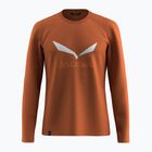 Férfi hosszú ujjú póló Salewa Solidlogo Dry bombay brown