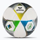 ERIMA Hybrid Eco futball labdarúgó ezüst/tengerészkék 5 méret