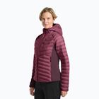 Női bélelt dzseki Jack Wolfskin Routeburn Pro Ins szőlő