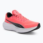 Futócipő PUMA Scend Pro sunset glow/puma black