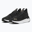 Női futócipő PUMA Softride Symmetry Fuzion puma fekete/puma arany