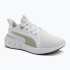 PUMA Softride Carson futócipő puma fehér/sivatagi por