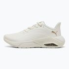 Női futócipő PUMA X-Cell Nova CAT SL meleg fehér/puma arany
