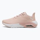 Női futócipő PUMA X-Cell Nova CAT SL SL rózsakvarc/ezüst köd