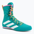 Bokszcipő adidas Box Hog 4 turquoise