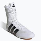 Boxcipő adidas Box Hog Classic white