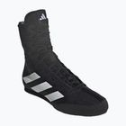 Boxcipő adidas Box Hog 4 black/white