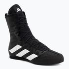 Boxcipő adidas Box Hog 4 black/white