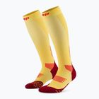 CEP Run Tall 5.0 női kompressziós zokni marigold/burgundia