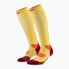 CEP Run Tall 5.0 férfi kompressziós zokni marigold/burgundia